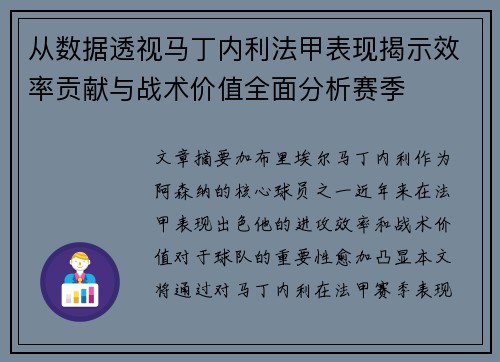 从数据透视马丁内利法甲表现揭示效率贡献与战术价值全面分析赛季